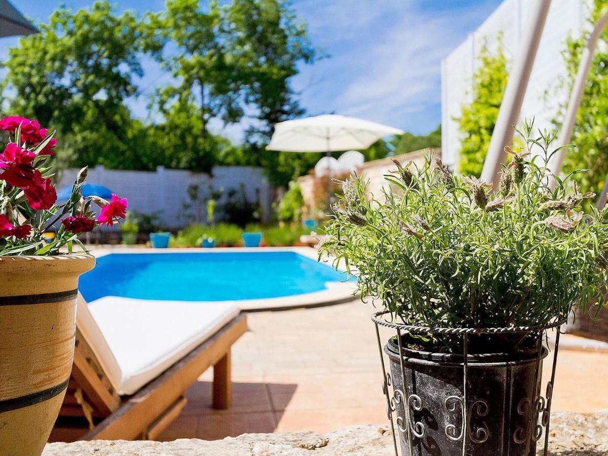 Villa Kazun With Private Pool And Two Gardens Marčana エクステリア 写真