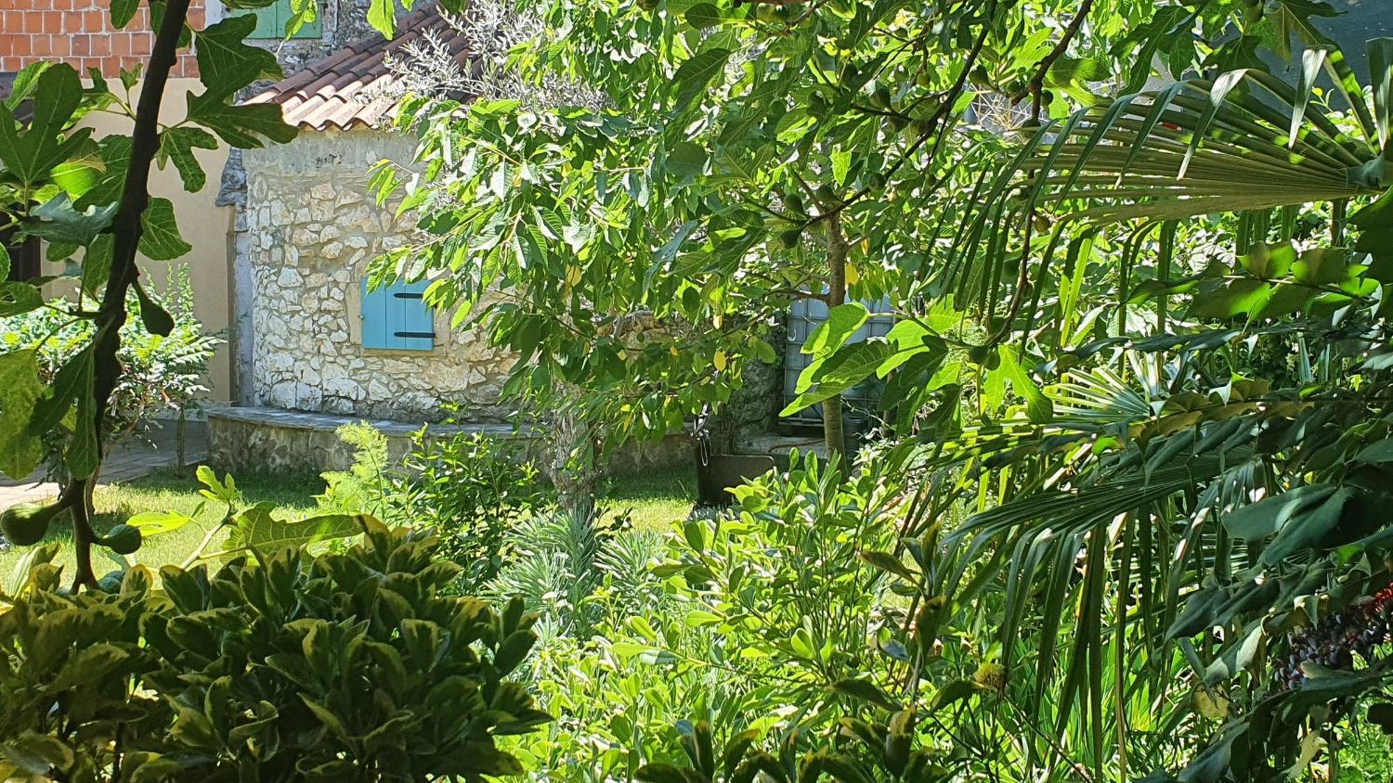 Villa Kazun With Private Pool And Two Gardens Marčana エクステリア 写真
